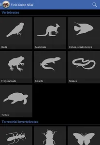 Field Guide to NSW Fauna screenshot 7