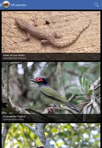 Field Guide to NSW Fauna screenshot 8