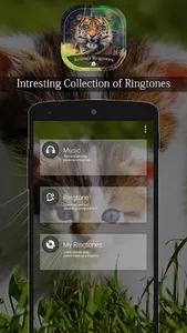 Animals Ringtone screenshot 2