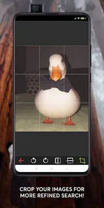 Reversify Lite – Reverse Image screenshot 1