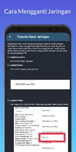 4G Switch screenshot 2