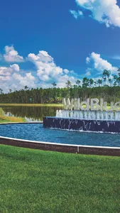 WildBlue screenshot 0
