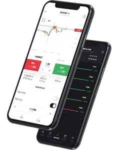 PASHA Capital screenshot 7