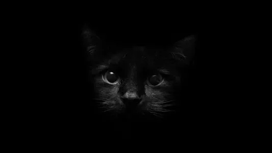 Black screenshot 7