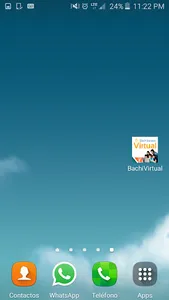 BachiVirtualCR screenshot 2