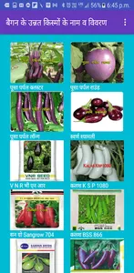 Baigan Ki Kheti screenshot 1