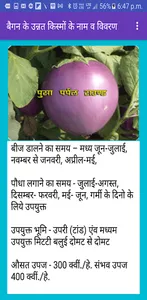 Baigan Ki Kheti screenshot 6