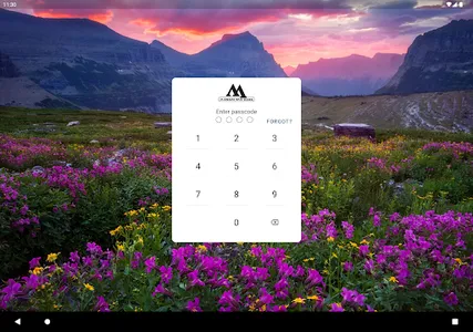 Manhattan Bank MT screenshot 4