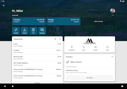Manhattan Bank MT screenshot 8