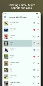 Bird and Animal sounds screenshot 8