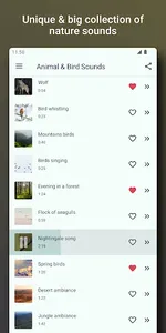 Bird and Animal sounds screenshot 9
