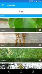 Airallergy screenshot 2