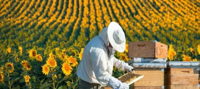 beekeeping screenshot 11