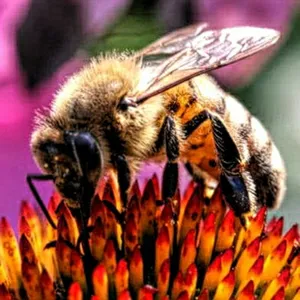 beekeeping screenshot 18