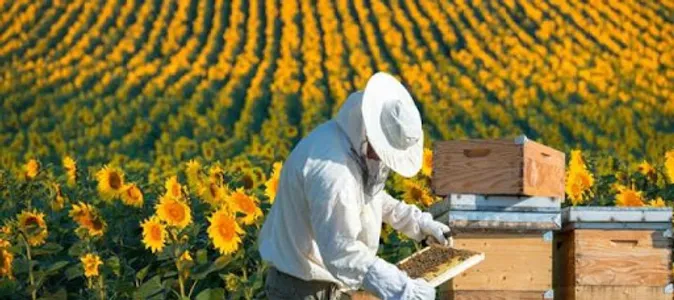 beekeeping screenshot 4