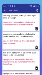 Ndau English Translator screenshot 6