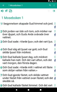 Bible in Swedish screenshot 13