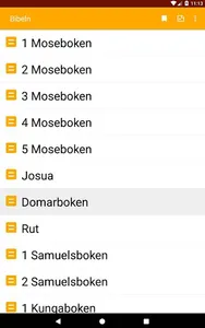 Bible in Swedish screenshot 17