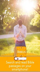 Bible in Swedish screenshot 6