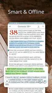 Bible Concordance & Strongs screenshot 0