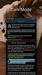 Bible Concordance & Strongs screenshot 7