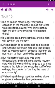 Catholic Bible complimentary screenshot 13