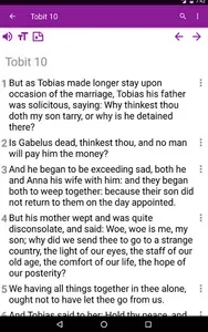 Catholic Bible complimentary screenshot 21