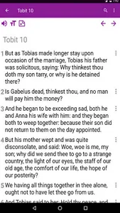Catholic Bible complimentary screenshot 5