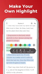 Bible Offline Lite-Fast&Light screenshot 4