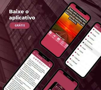 Bíblia Sagrada Almeida offline screenshot 7