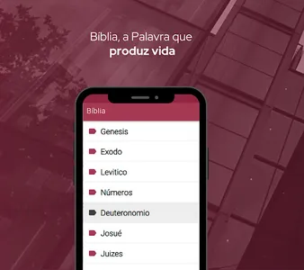 Bíblia Sagrada Almeida offline screenshot 9