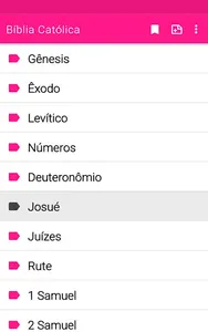 Bíblia católica da mulher screenshot 17