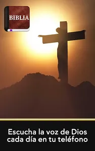 Biblia Católica Latinoamerica screenshot 18