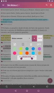 Bíblia em Português Ave Maria screenshot 18