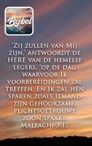 Bible in Dutch offline audio screenshot 10