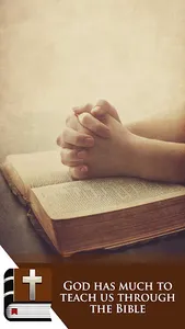 Bible in Dutch screenshot 3