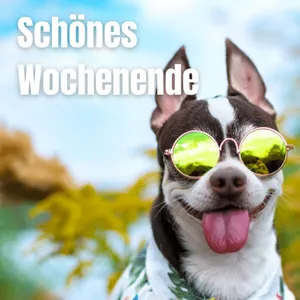 Schönes Wochenende screenshot 3