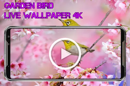Garden Bird Live Wallpaper 4K screenshot 0