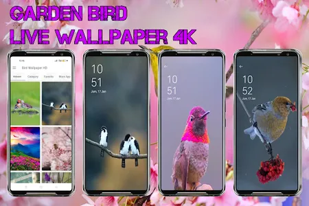 Garden Bird Live Wallpaper 4K screenshot 2