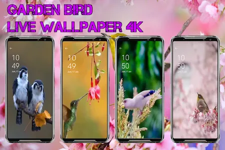 Garden Bird Live Wallpaper 4K screenshot 7