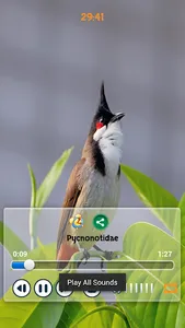 Birds Calls Sounds - Relaxing screenshot 4