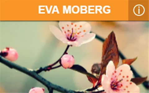 EVA MOBERG screenshot 2