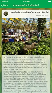 Chiangmai organic screenshot 5