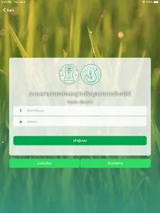 Chiangmai organic screenshot 8