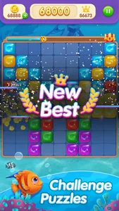 Block Puzzle 99: Fish Go screenshot 12