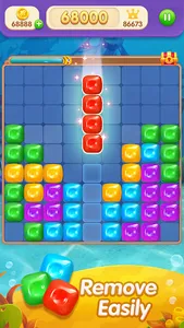 Block Puzzle 99: Fish Go screenshot 13