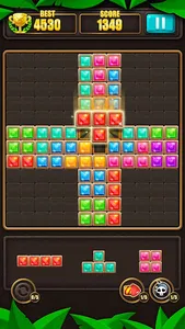 Block Puzzle screenshot 14