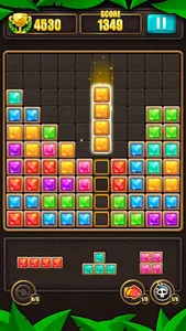 Block Puzzle screenshot 21