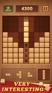 Wood Block 99 - Sudoku Puzzle screenshot 0