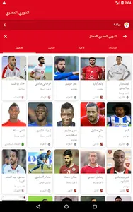 الدورى screenshot 9